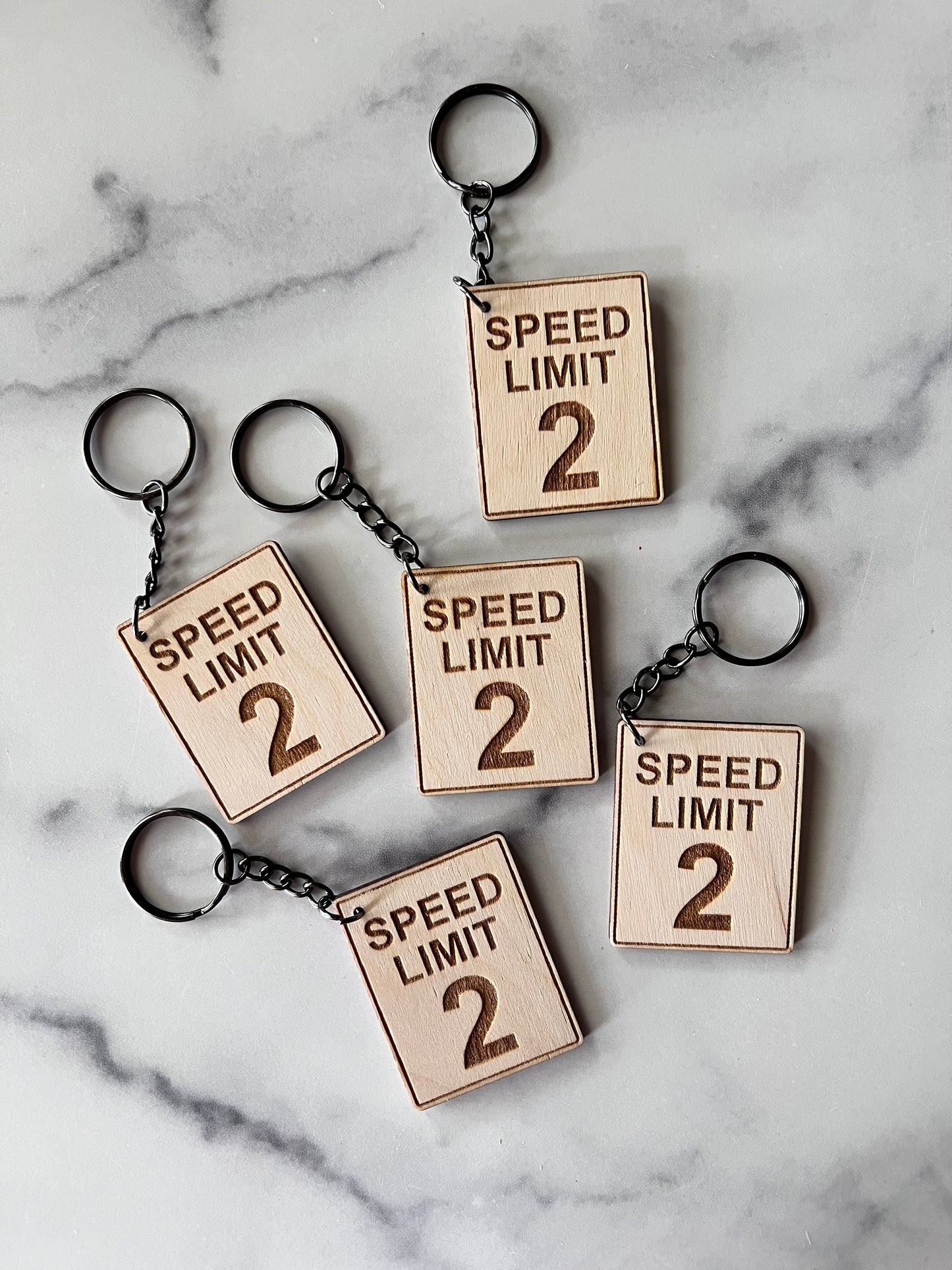 Speed Limit Keychains