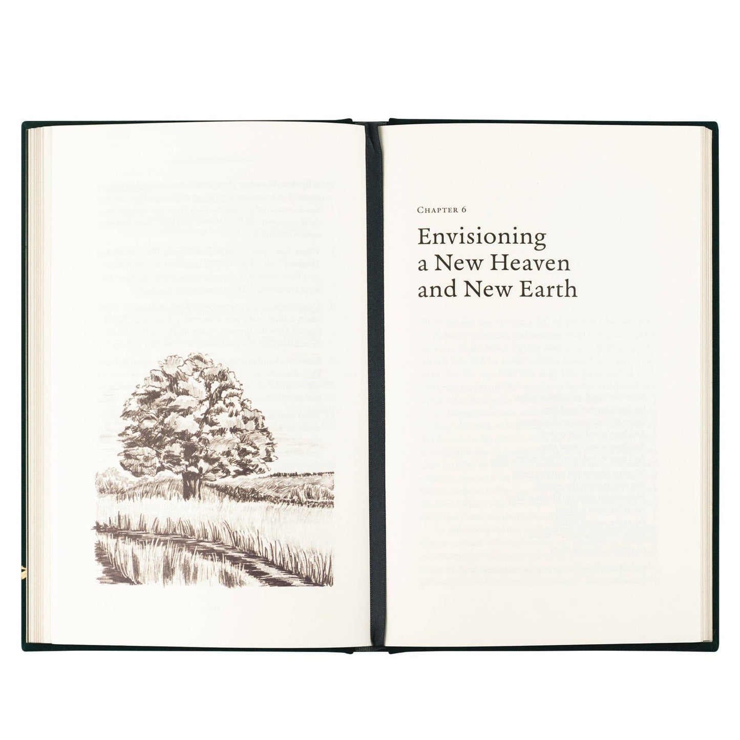 Book: Heaven and Earth by Jordan Moody