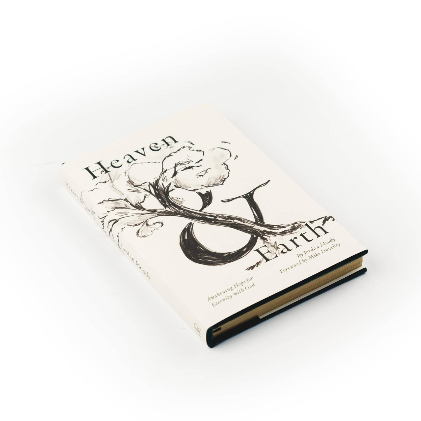 Book: Heaven and Earth by Jordan Moody
