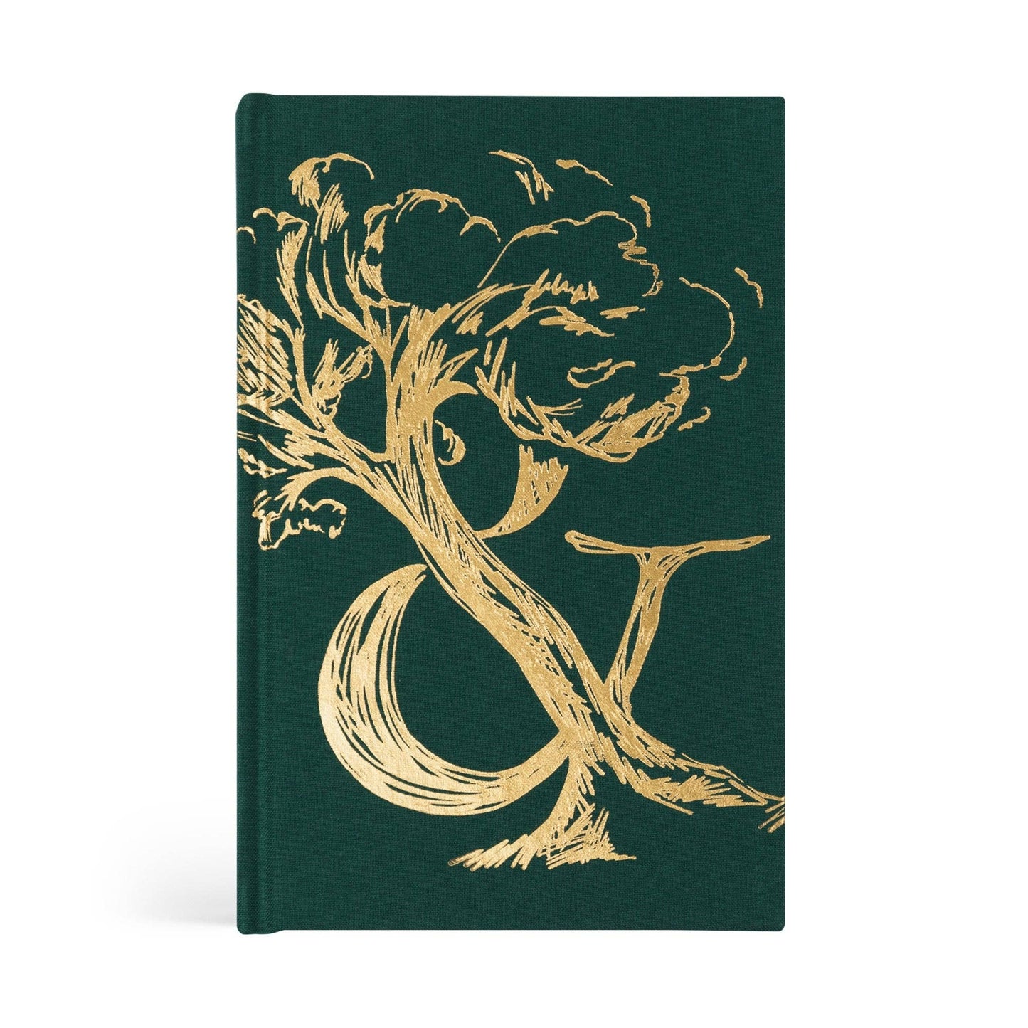 Book: Heaven and Earth by Jordan Moody