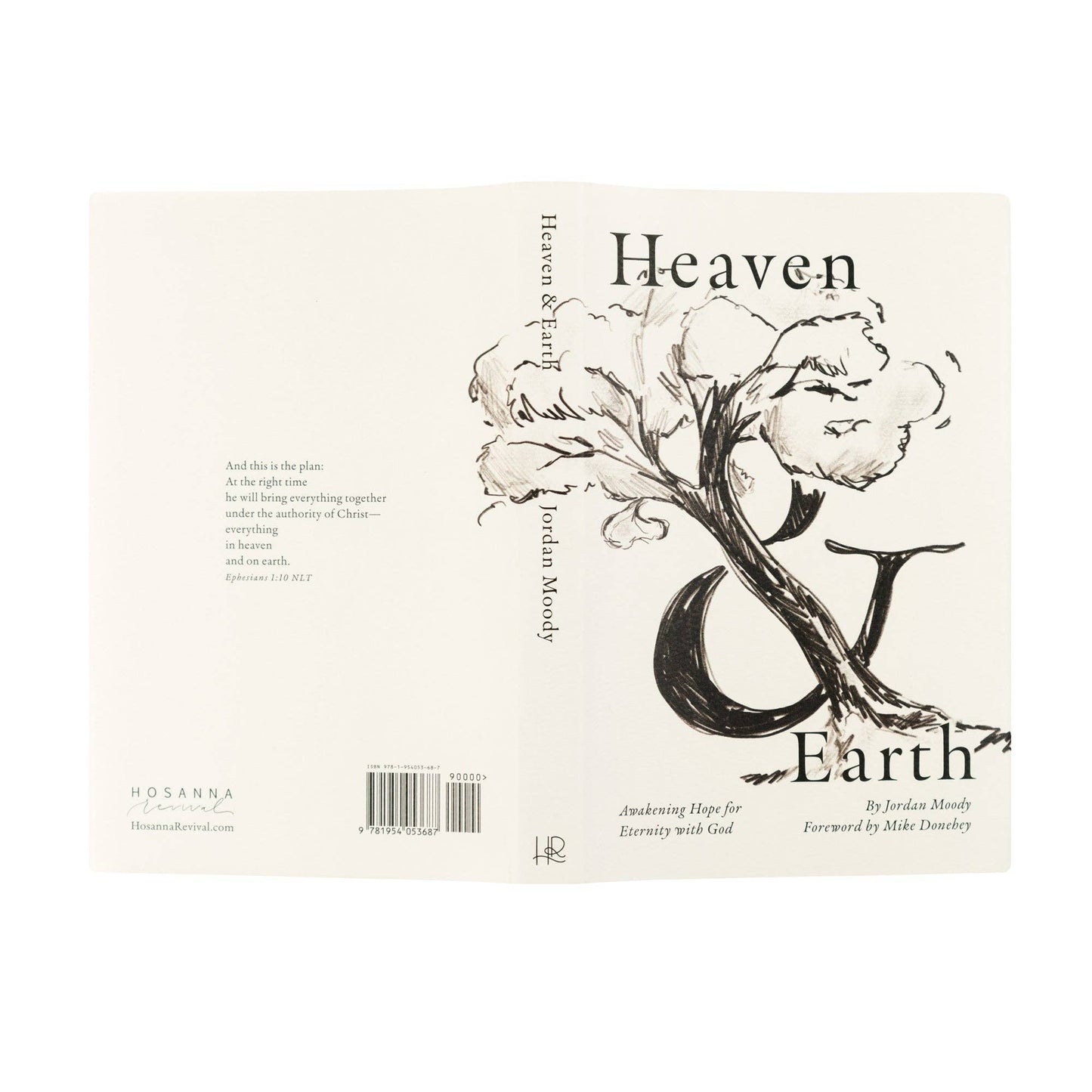 Book: Heaven and Earth by Jordan Moody