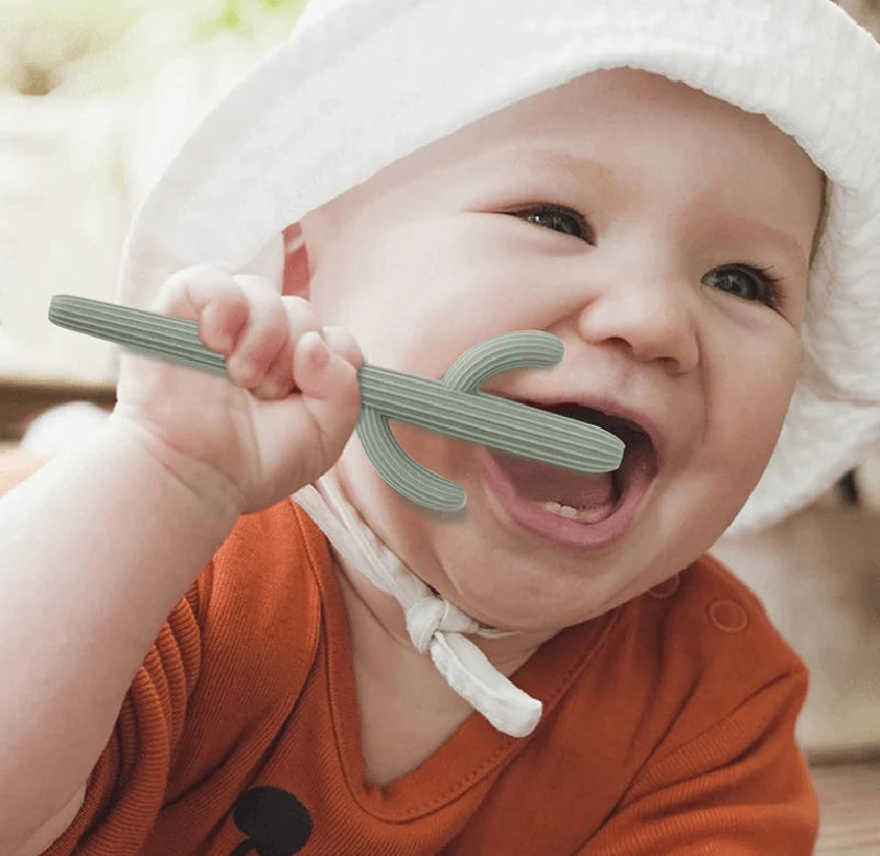 Cactus Teether
