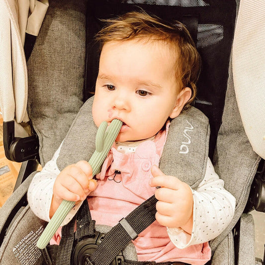 Cactus Teether
