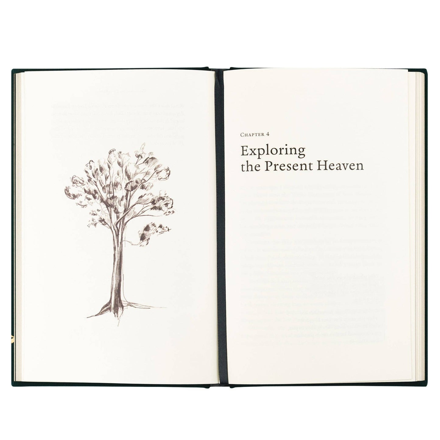 Book: Heaven and Earth by Jordan Moody
