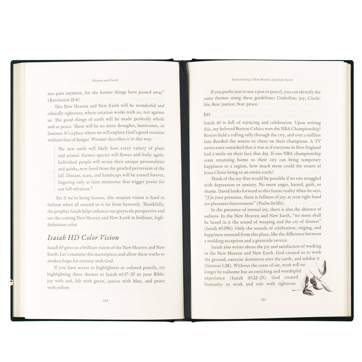 Book: Heaven and Earth by Jordan Moody